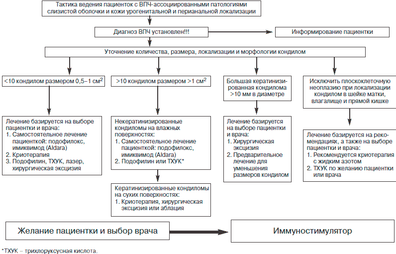 Эффективная схема лечения впч - Jks-k.ru