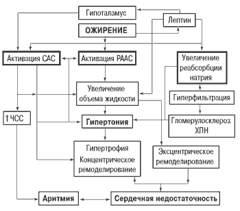 etiologija i patogeneza hipertenzije hipertenzija i infracrvena saune