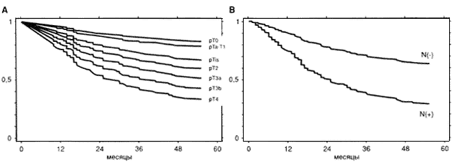 Рис. 1. Многофакторный анализ Кокса (Сох) в зависимости от патоморфологической стадии (А) и поражения лимфатических узлов(В).